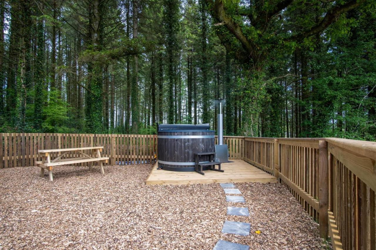 Cabin In The Woods - 1 Bedroom Lodge - Kilgetty Stepaside  Exterior foto