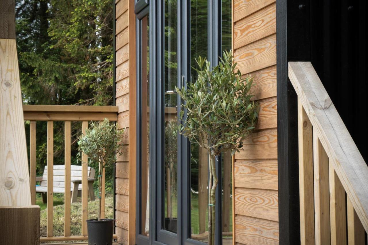 Cabin In The Woods - 1 Bedroom Lodge - Kilgetty Stepaside  Exterior foto