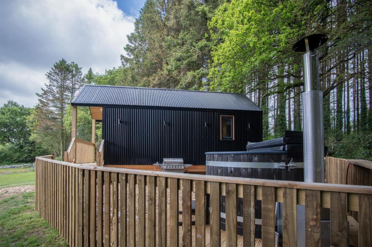 Cabin In The Woods - 1 Bedroom Lodge - Kilgetty Stepaside  Exterior foto