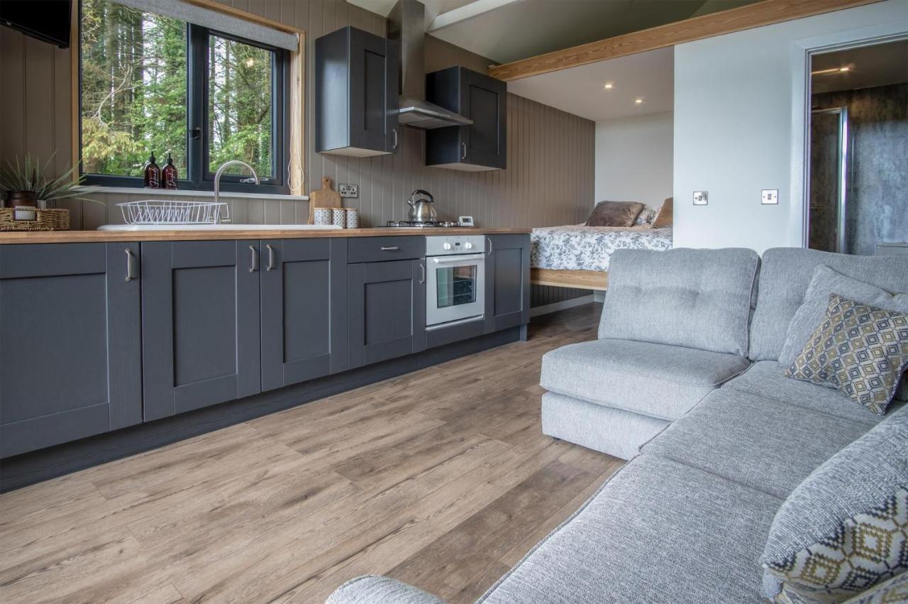 Cabin In The Woods - 1 Bedroom Lodge - Kilgetty Stepaside  Exterior foto
