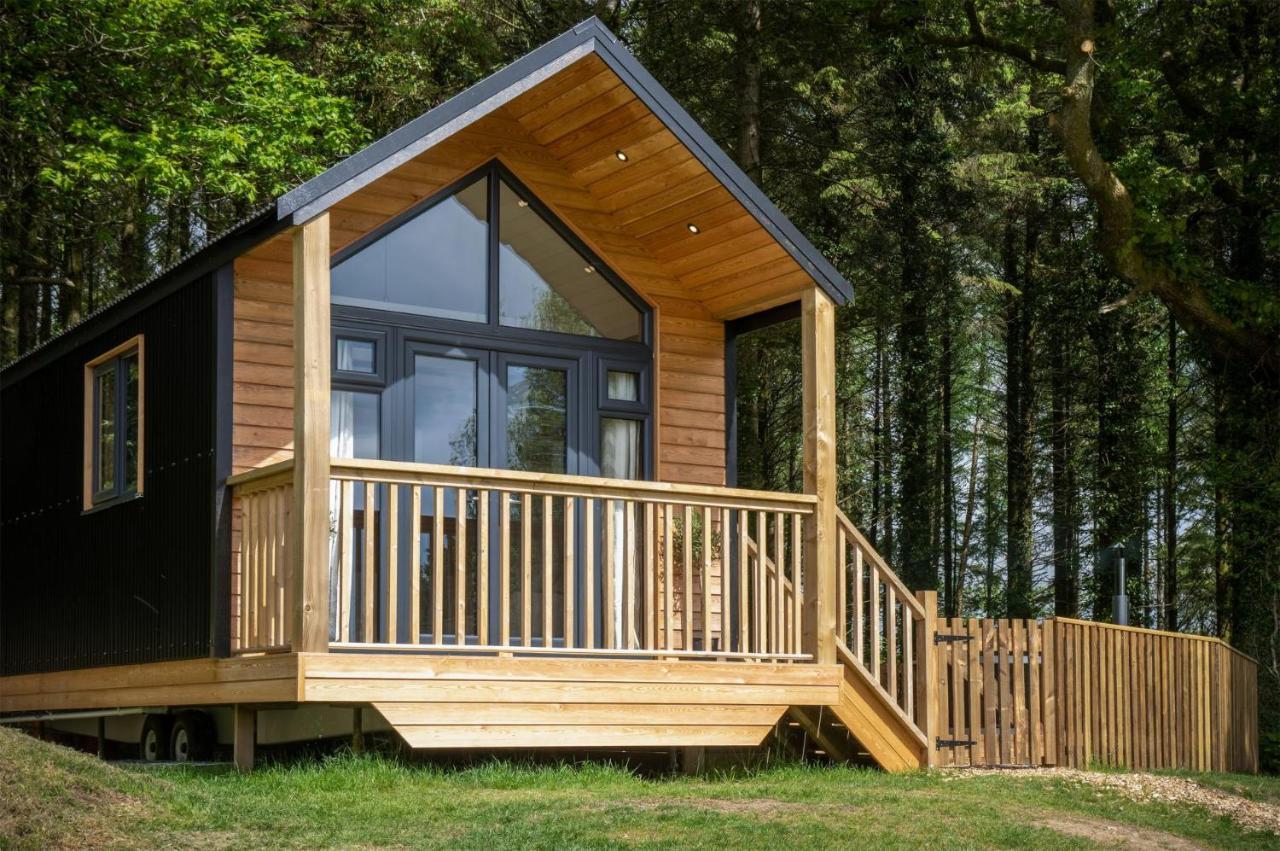Cabin In The Woods - 1 Bedroom Lodge - Kilgetty Stepaside  Exterior foto